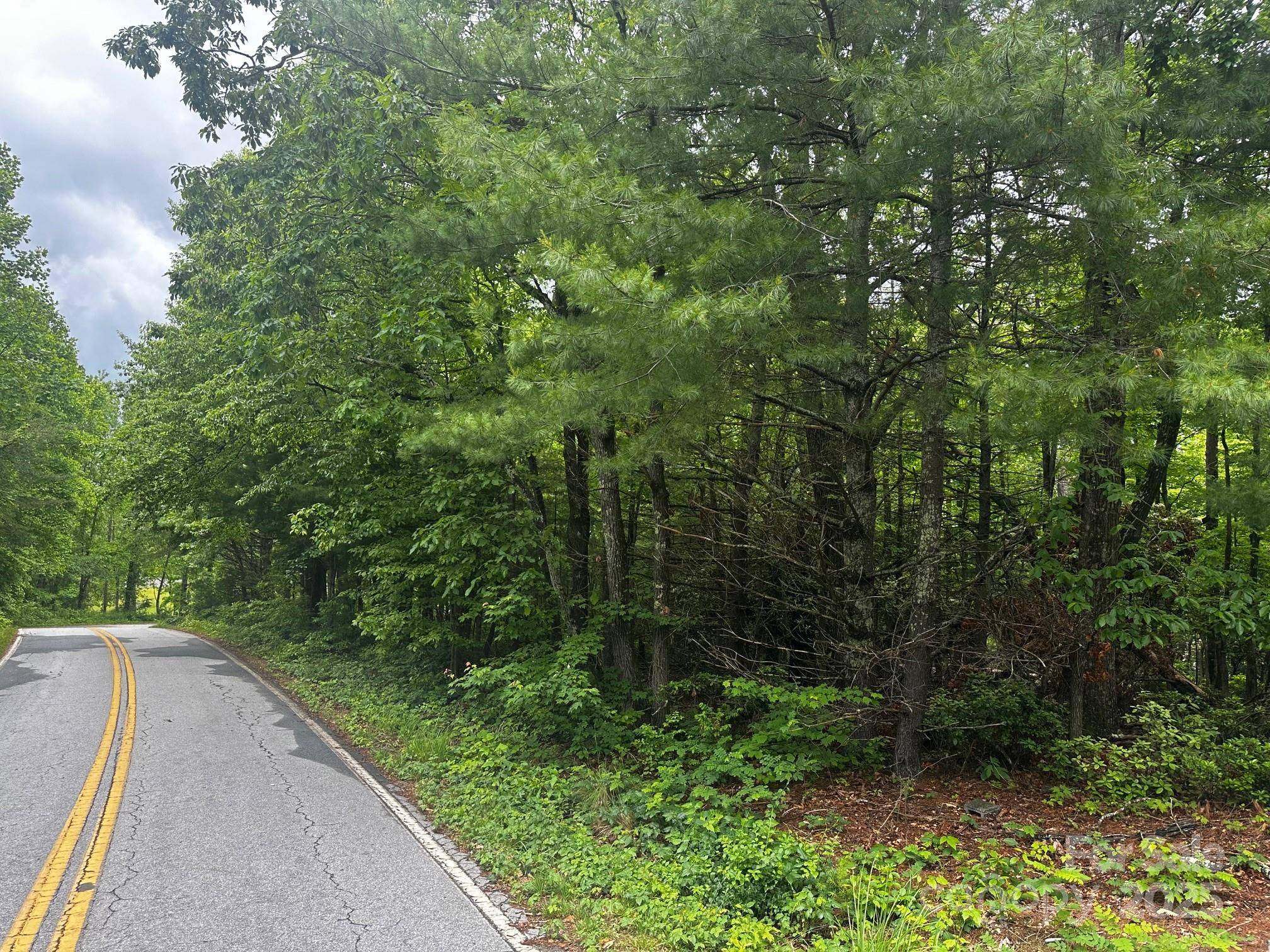 784 Shumont RD, Black Mountain, NC 28711