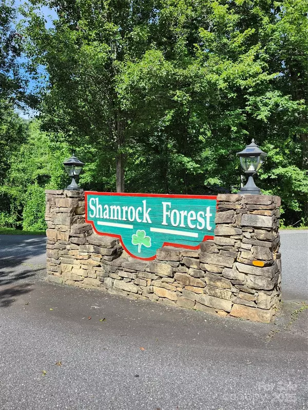 Columbus, NC 28722,0000 Hayes RD #67