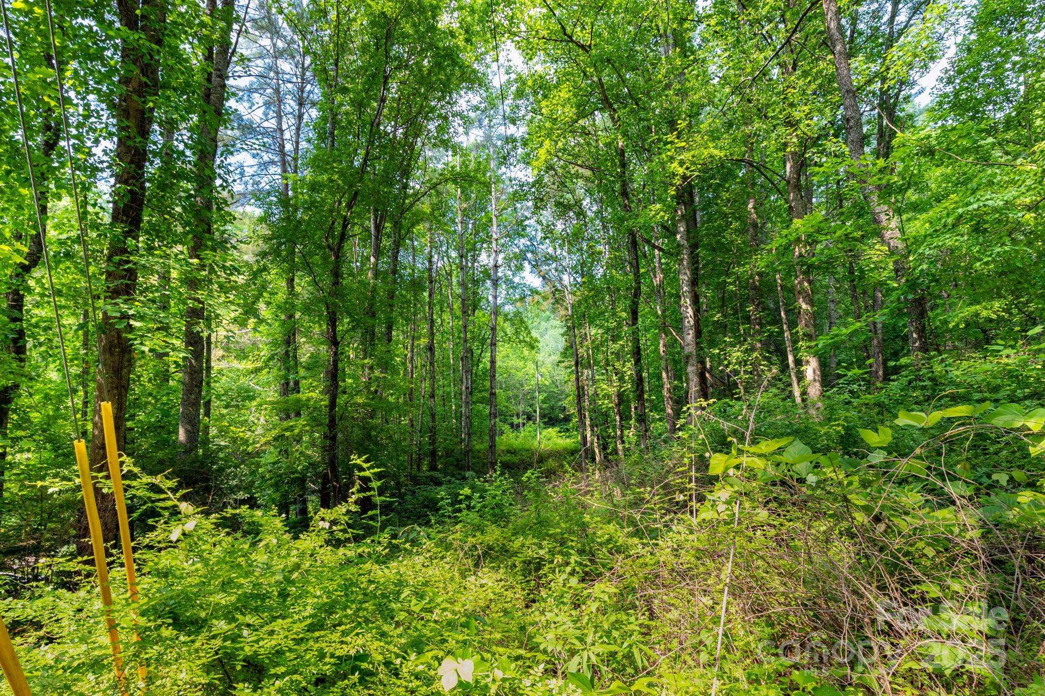 Sylva, NC 28779,TBD Woodfin RD
