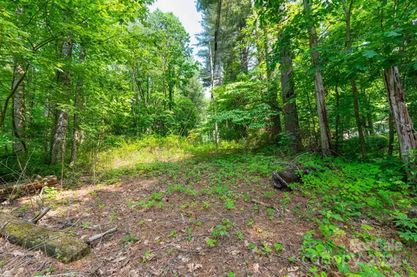 Sylva, NC 28779,TBD Woodfin RD