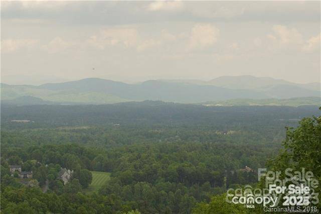 Flat Rock, NC 28731,000 Roxworth CT