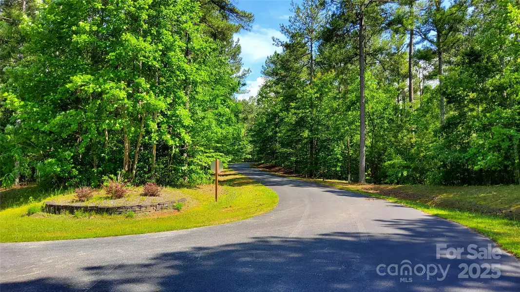 23/24 Loblolly LN #23/24, Mill Spring, NC 28756