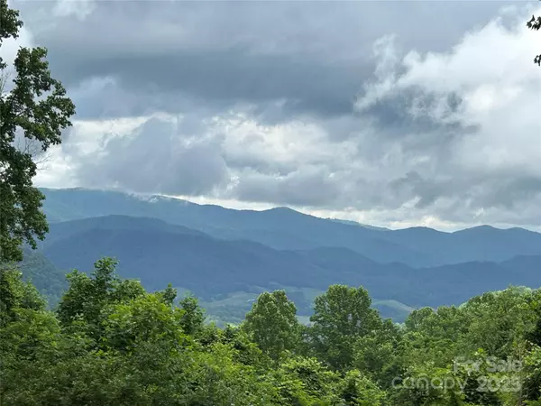 Leicester, NC 28748,687 Willow Creek RD