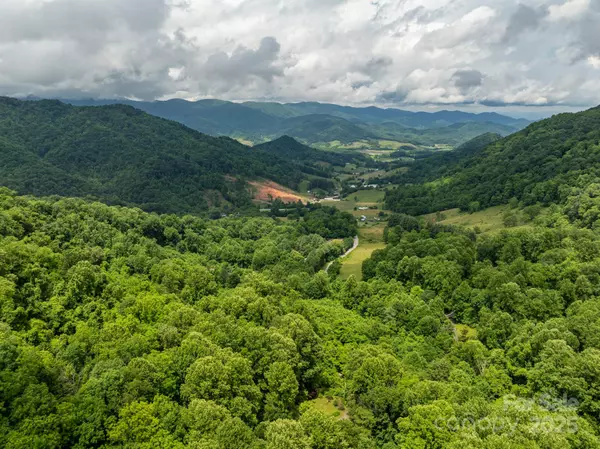 Leicester, NC 28748,687 Willow Creek RD