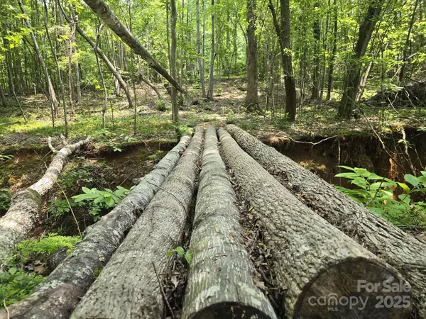 Mooresboro, NC 28114,Lot 10 State Line RD #10