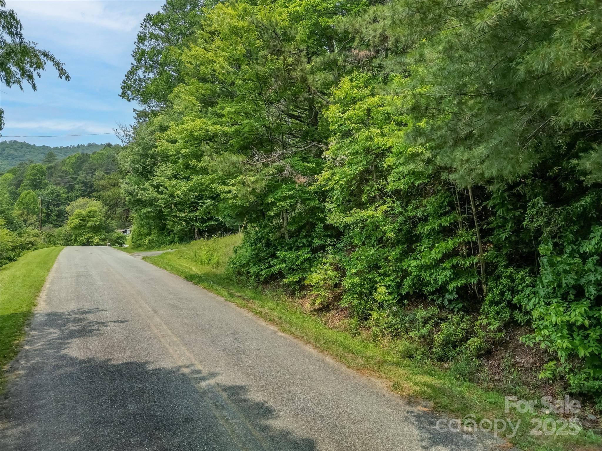 Brevard, NC 28712,0000 Israel RD