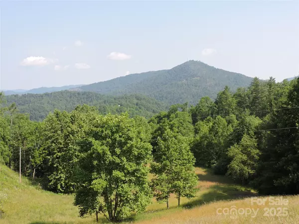 Bakersville, NC 28705,674 Johnson's River Bend LN