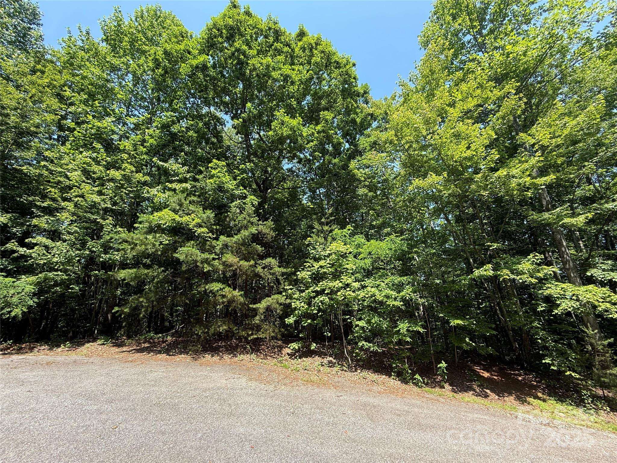 Saluda, NC 28773,Lot 13 Rhododendron DR #13