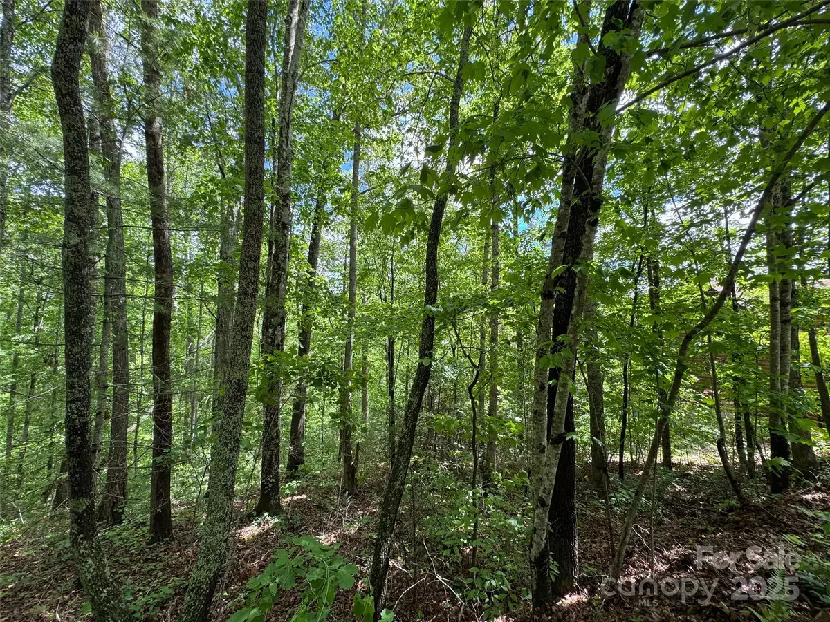 Leicester, NC 28748,99999 Morning Star DR #Lot 13