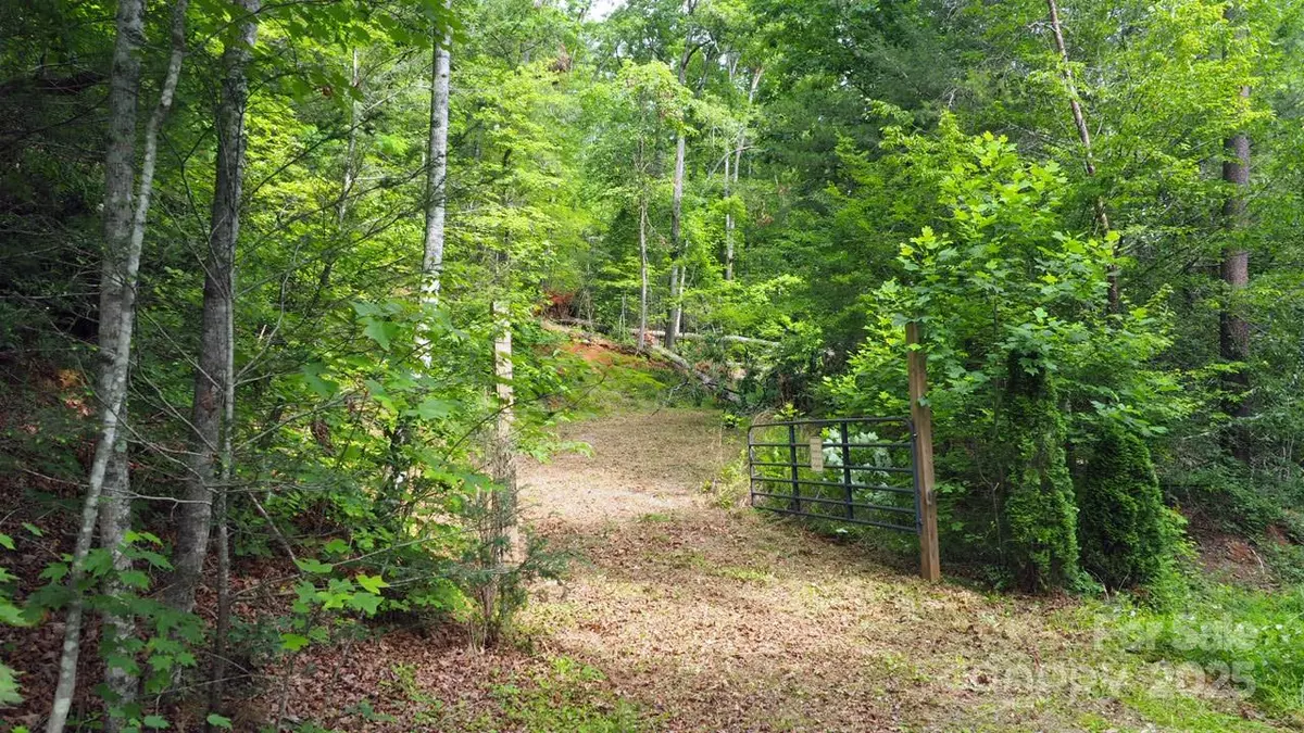 Lake Lure, NC 28746,00 Justice DR #16