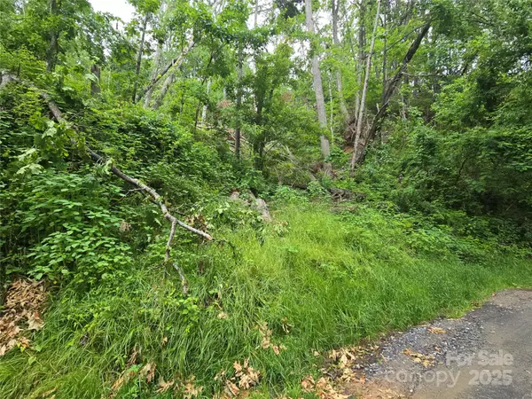 Fairview, NC 28730,89 Weeping Cherry Forest RD