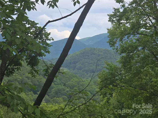 Fairview, NC 28730,89 Weeping Cherry Forest RD