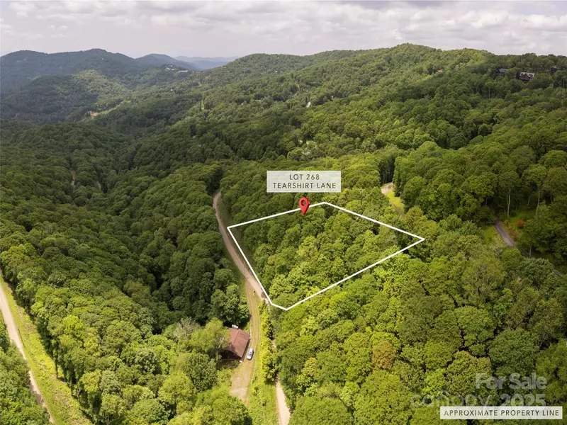 000 Tearshirt LN #268, Mars Hill, NC 28754