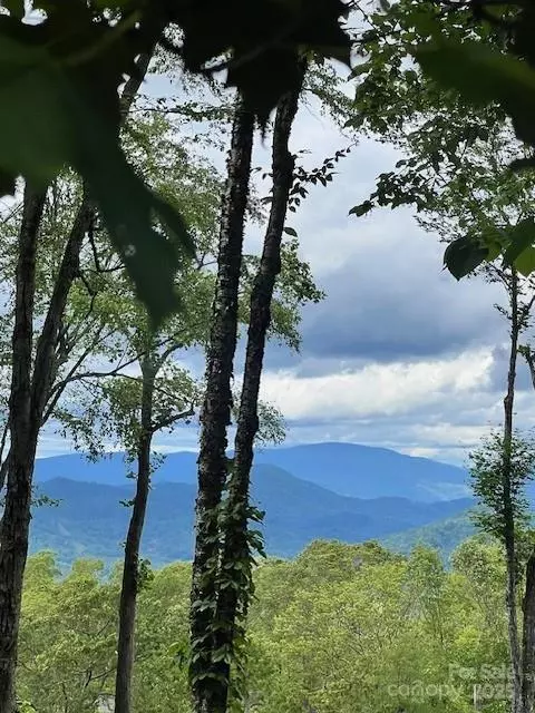 Burnsville, NC 28714,Lot 81 Ball Camp RD #81/1