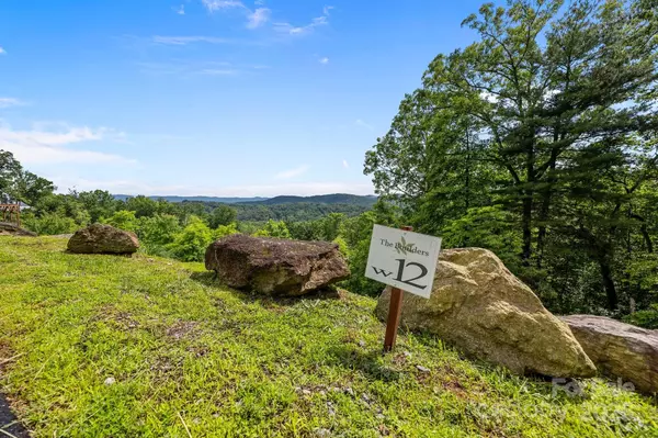 Hendersonville, NC 28791,w12 Curtain Bluff BLF