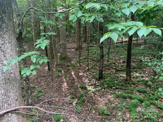 Saluda, NC 28773,7.67 AC. HOLBERT COVE RD #7.67 AC.