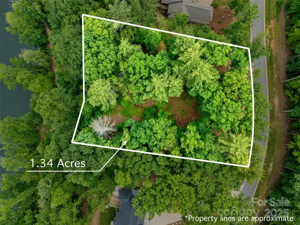 Candler, NC 28715,17 Hendrickson CT