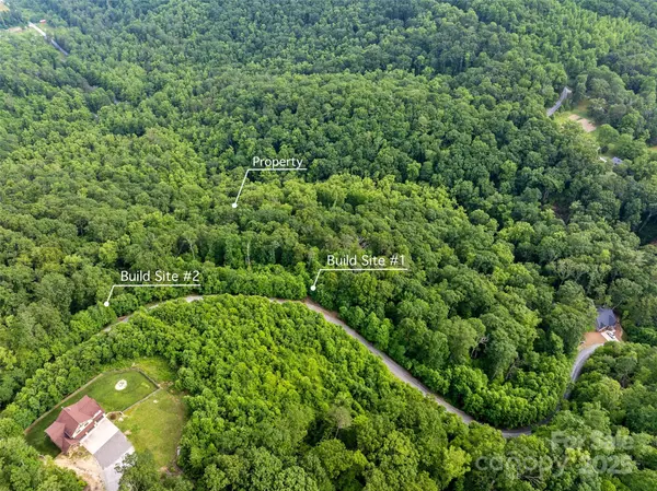 00 Locust Grove RD #2, Hendersonville, NC 28792