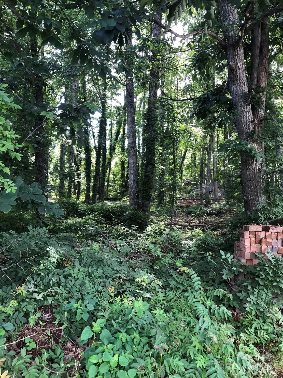Salisbury, NC 28146,Lot 6-7 Ridgeline DR