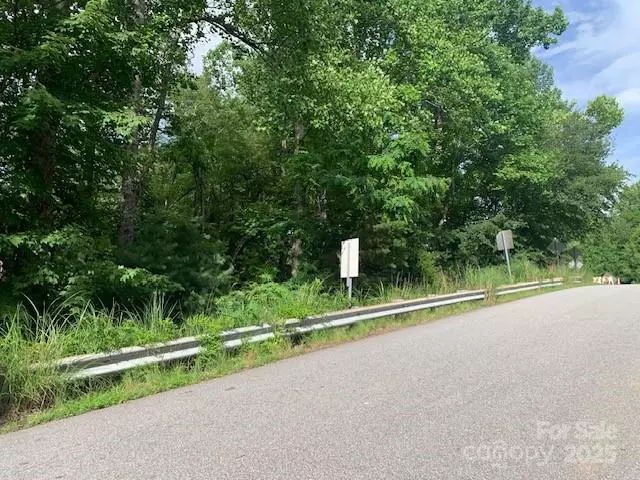 Saluda, NC 28773,1.0AC HOLBERT COVE RD #2