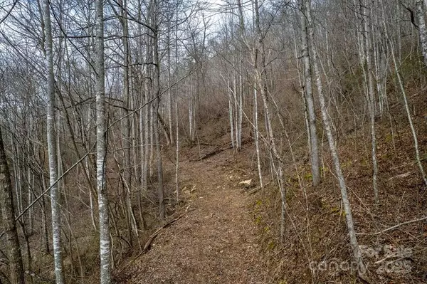 Sylva, NC 28779,00 Skyland DR #Tr 1