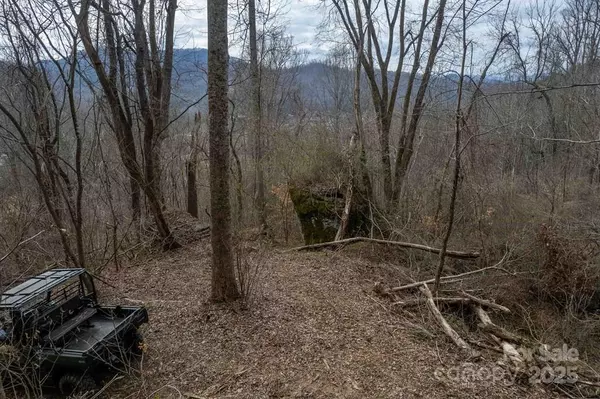 Sylva, NC 28779,00 Skyland DR #Tr 1