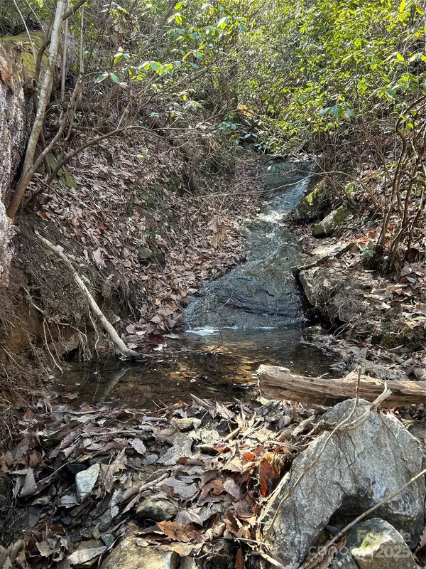 Tryon, NC 28782,TBD Country Club RD
