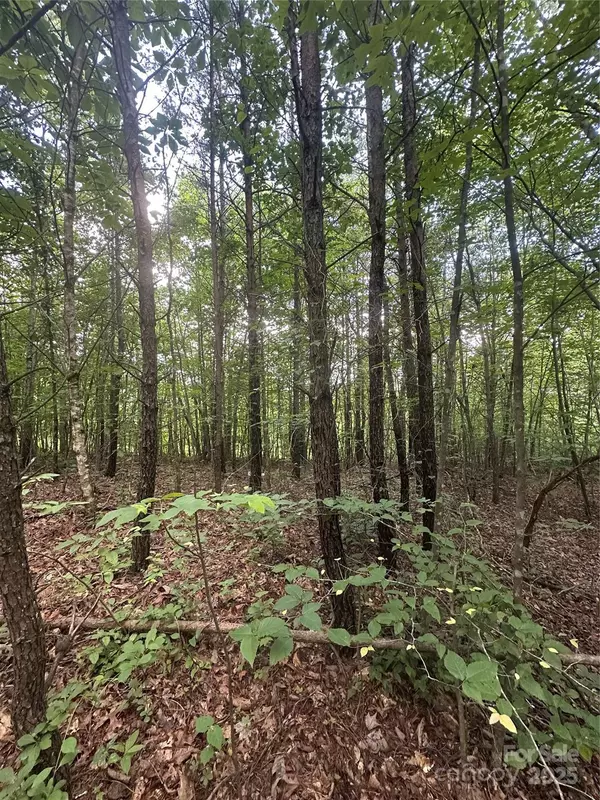 Marion, NC 28752,99999 Fairfield LN
