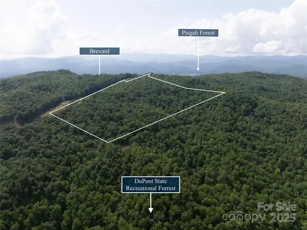 Pisgah Forest, NC 28768,99999 Reserve RD