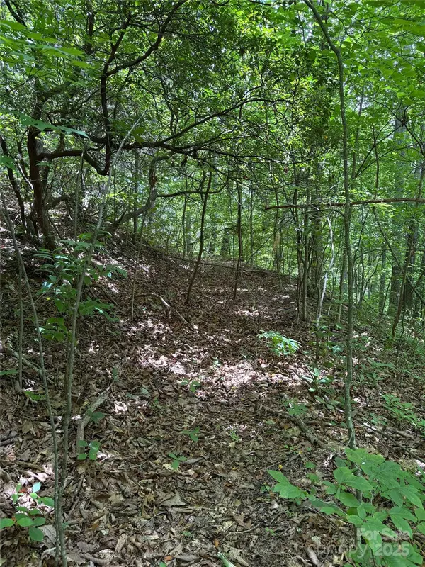 Waynesville, NC 28785,TBD Upward WAY #236 & 237