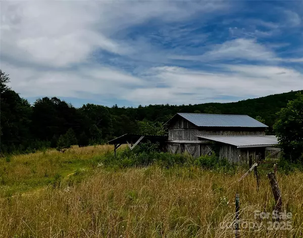 4282 Mount Gilead Church RD, Connelly Springs, NC 28612
