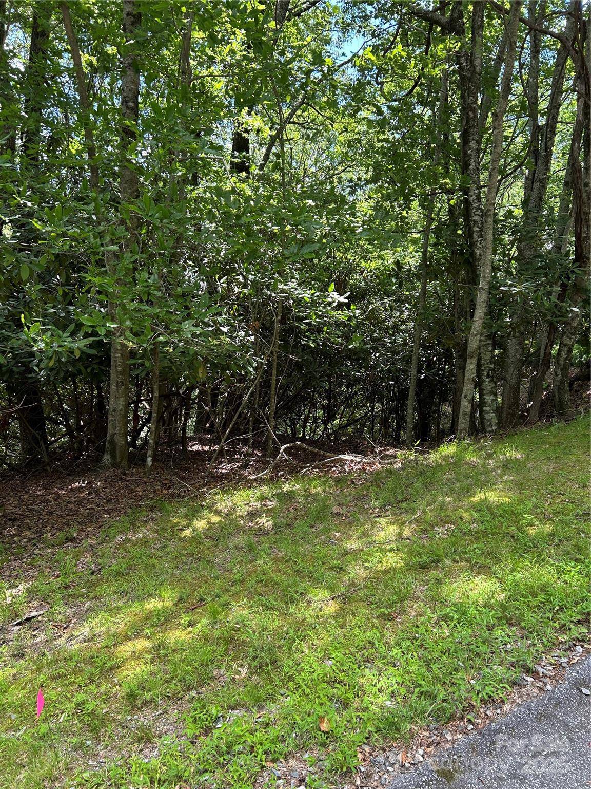 Brevard, NC 28712,TBD Connestee TRL #UO2/L406