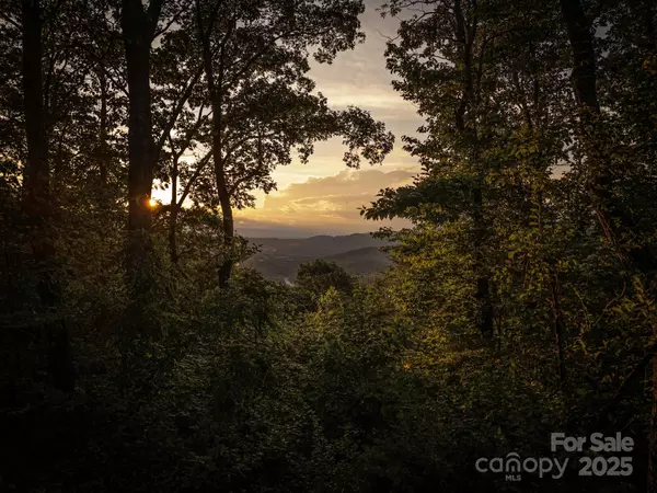 Asheville, NC 28803,15 Casta WAY