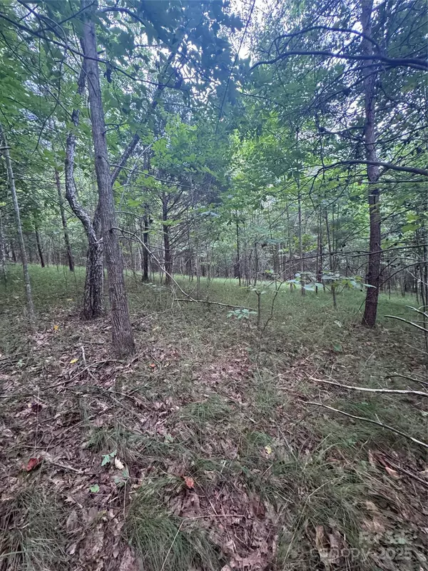 0 Cross Creek DR #67, Rutherfordton, NC 00000