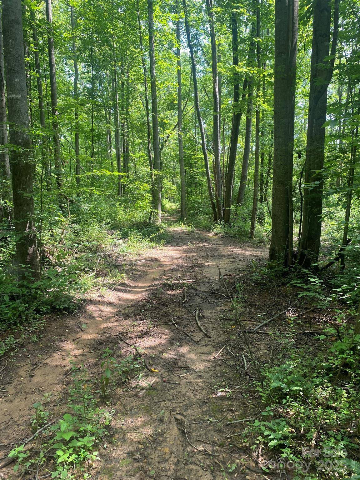 Nebo, NC 28761,3288 Tatertown LOOP #2