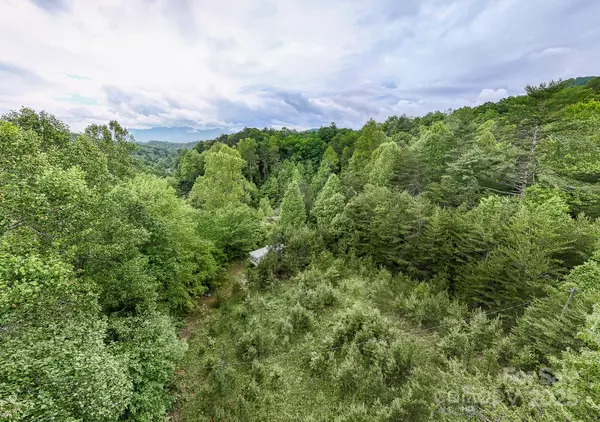 Bryson City, NC 28713,65 Cunningham RD