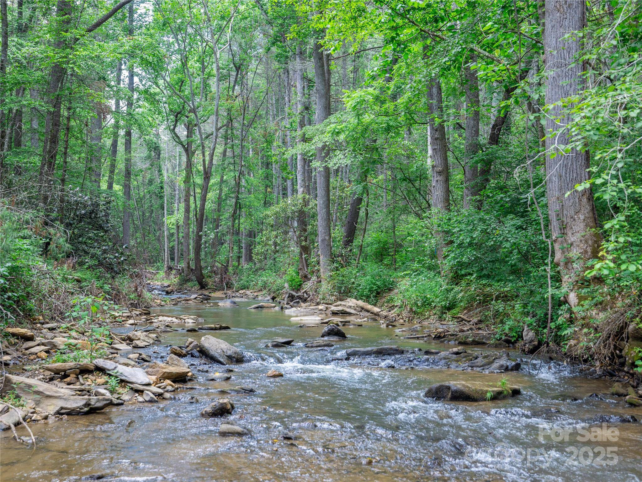 Asheville, NC 28805,52 Trail Top DR