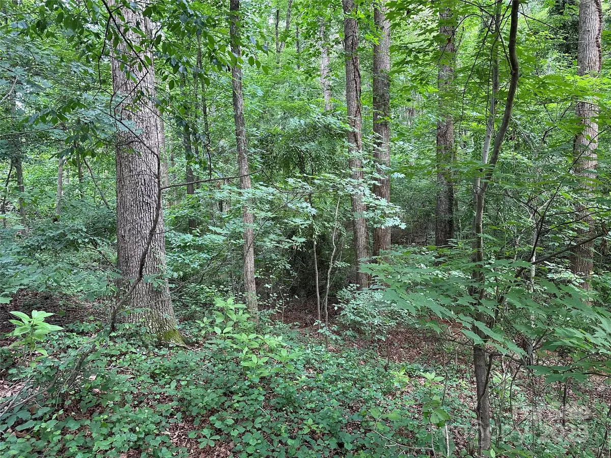 Elkin, NC 28621,00 Fremont LN