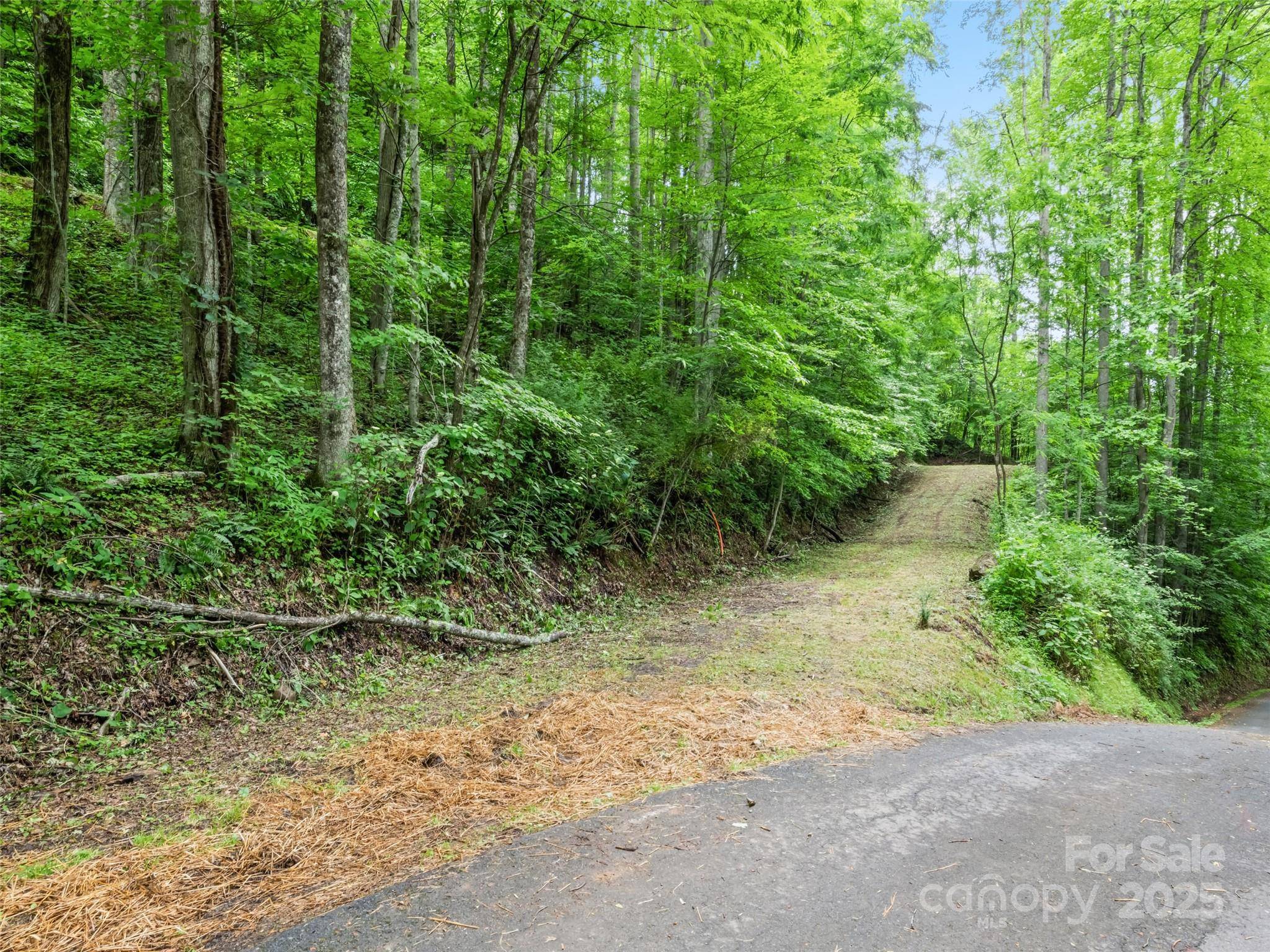 Maggie Valley, NC 28751,13 Galega TRL #D