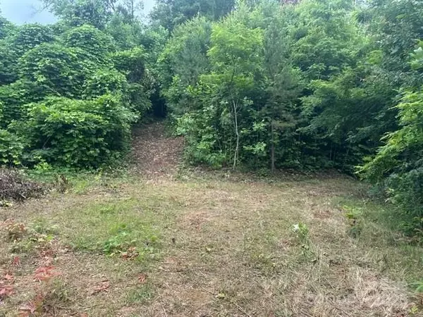 Sylva, NC 28779,0 Cope Creek RD