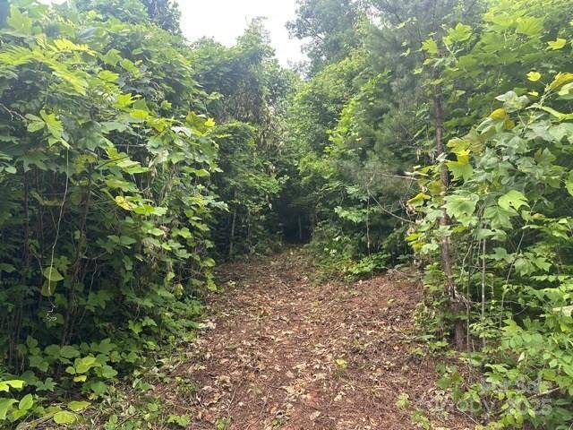 Sylva, NC 28779,0 Cope Creek RD
