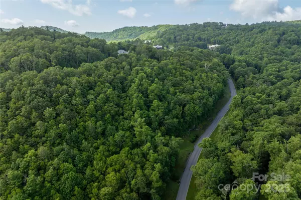 Blowing Rock, NC 28605,TBD Lot 107 Firethorn TRL #107
