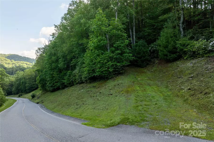 TBD Lot 108 Firethorn TRL #108, Blowing Rock, NC 28605
