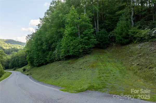 TBD Lot 108 Firethorn TRL #108, Blowing Rock, NC 28605