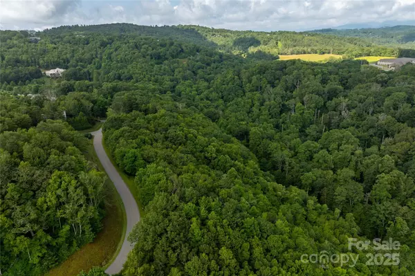 Blowing Rock, NC 28605,TBD Lot 121 Firethorn TRL #121