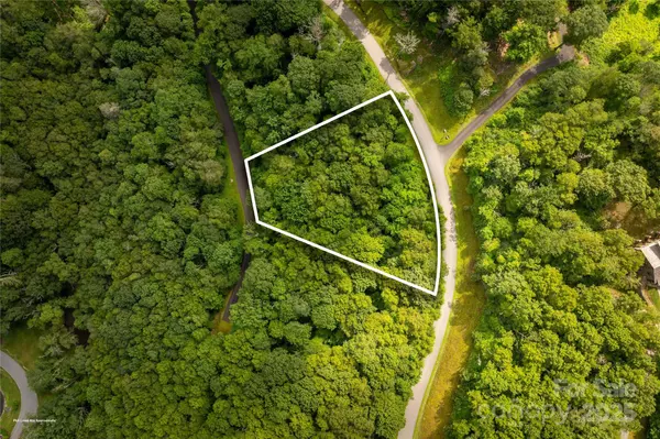 Blowing Rock, NC 28605,TBD Lot 124 Firethorn TRL #124