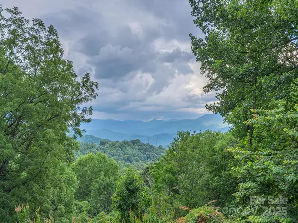 Sylva, NC 28779,1411 Kitchens Branch RD