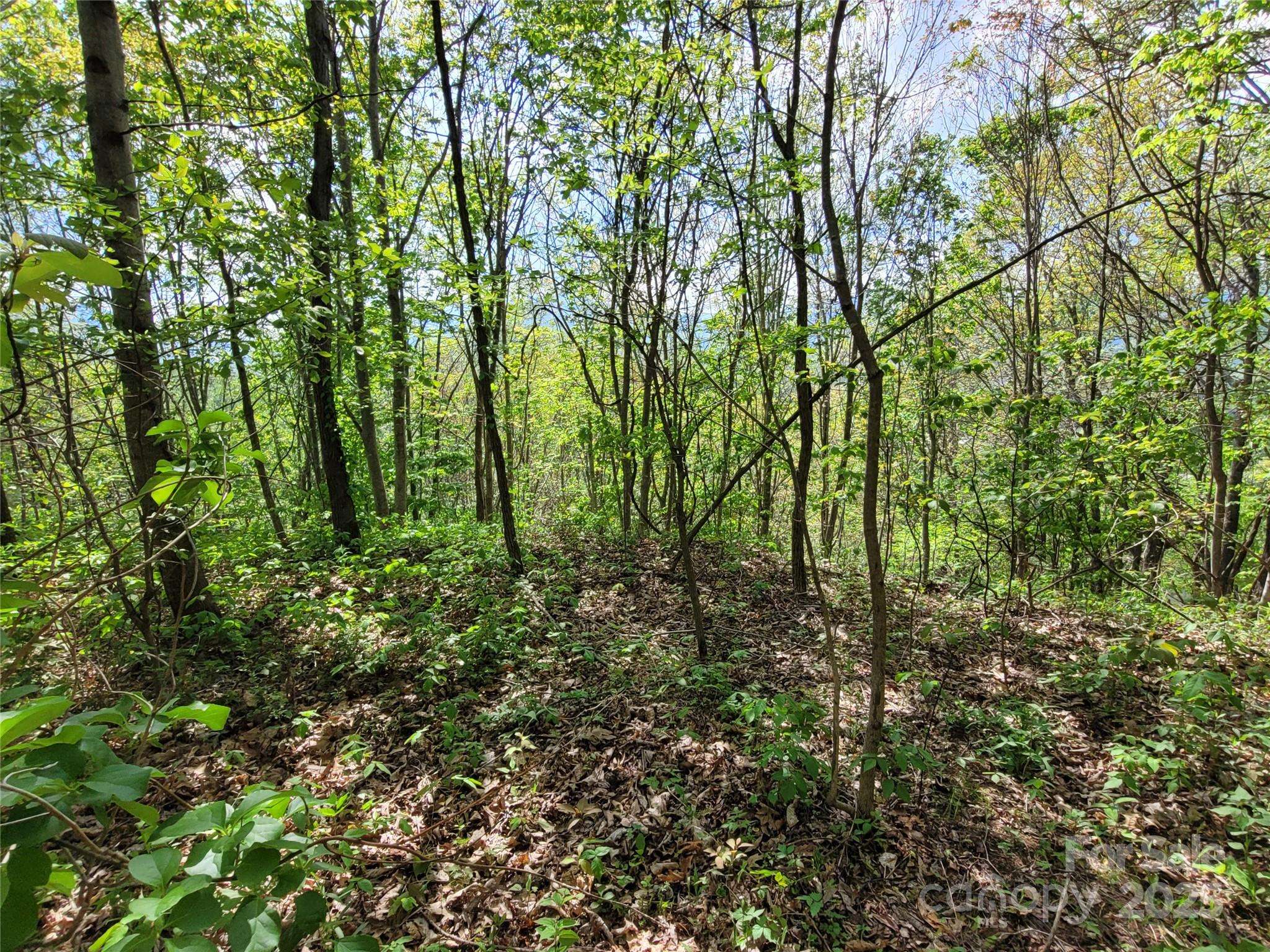 Waynesville, NC 28786,00 Liner Cove RD #1