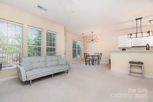 Charlotte, NC 28277,14624 Via Sorrento DR #6206