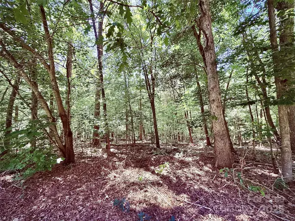 Norwood, NC 28128,00 Margie LN
